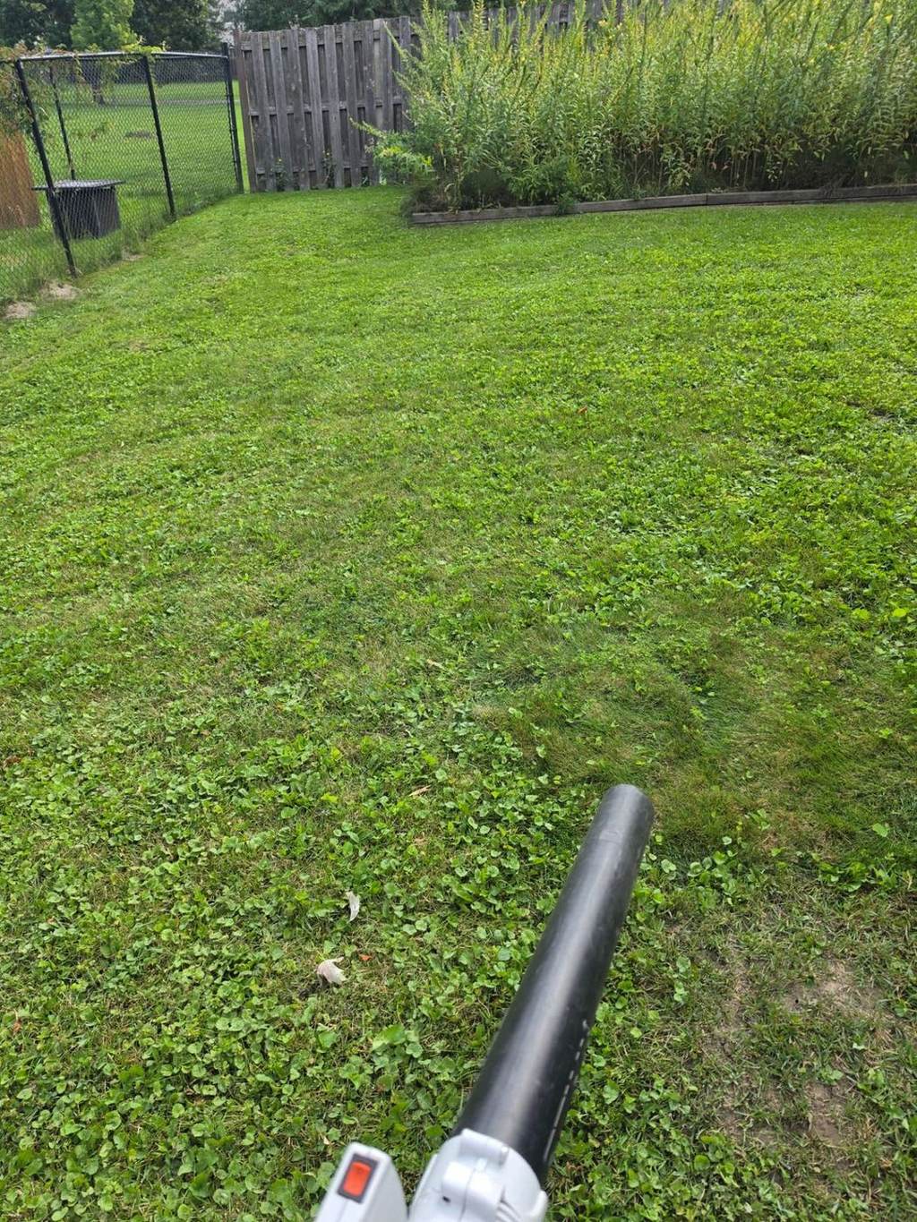 Fenced residential back yard freshly cut and blown off by Benny's Lawn Care in Ottawa