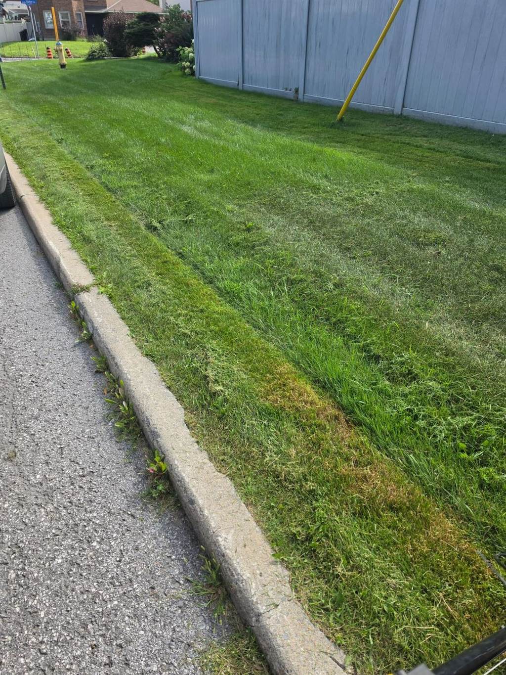 Residential front lawn cut evenly to the curb edge by Benny's Lawn Care & Snow Removal in Ottawa
