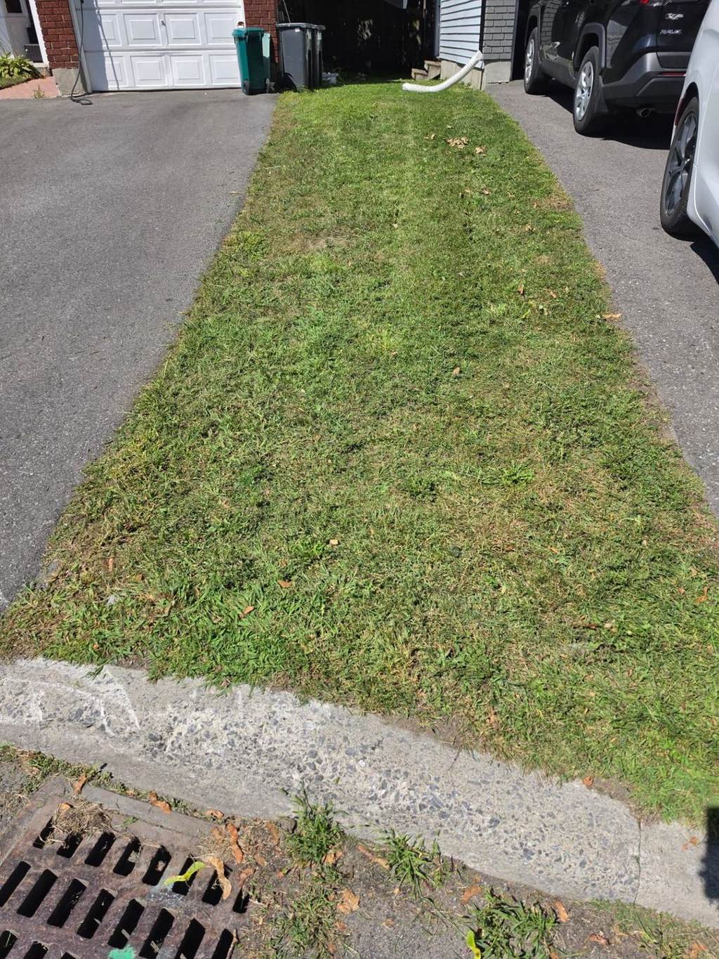 Narrow residential front lawn between two driveways freshly cut by Benny's Lawn Care in Ottawa