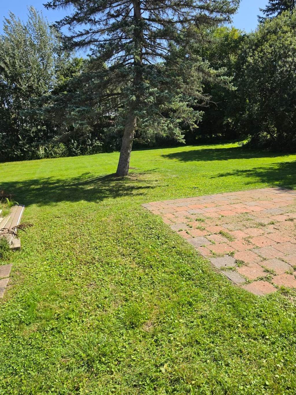 Lawn Care
