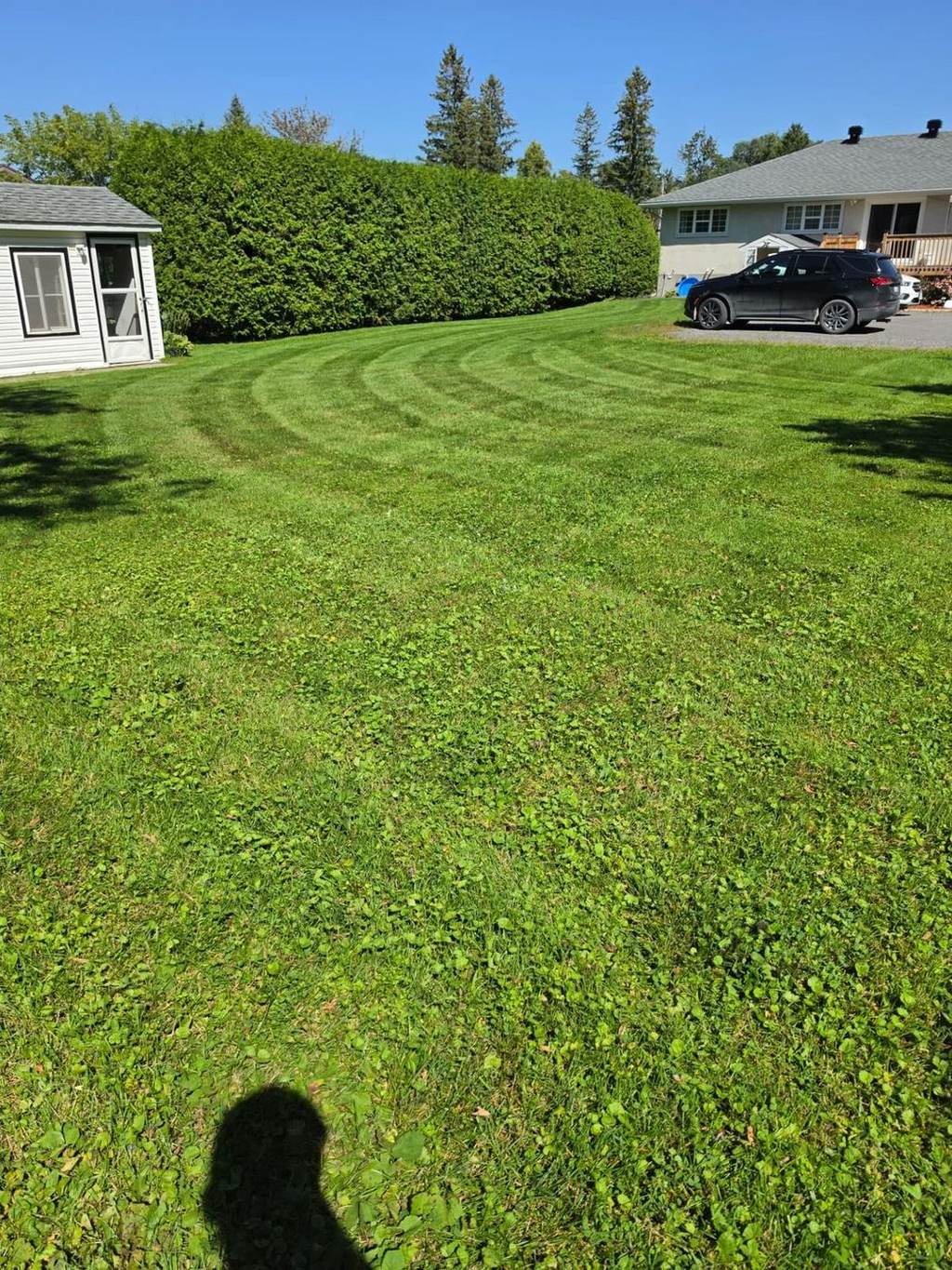 Freshly cut residential lawn with clean edges in Ottawa
