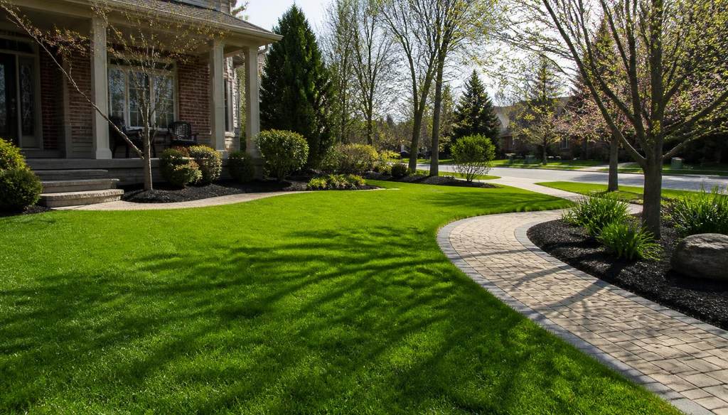 Bright green spring lawn with freshly defined garden bed edges